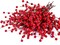 15 Pcs Artificial Red Berry Stems Christmas Red Berries Holly Berry Branches Fake Burgundy Berry Picks for Floral Arrangements Christmas Tree Holiday Home Xmas DIY Crafts Decor (Red)